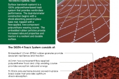 disen-track-2