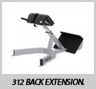 312 Back Extension