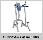 CF-3252 Vertical Knee Raise