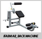 IFABM Ab_Back Machine
