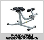 IFAH Adjustable Hyperextension Bench