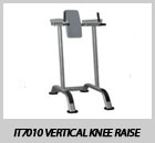 IT7010 Vertical Knee Raise