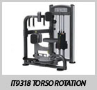 IT9318 Torso Rotation