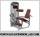 PL9019 Leg Extension_Leg Curl