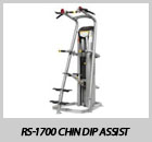 RS-1700 Chin Dip Assist
